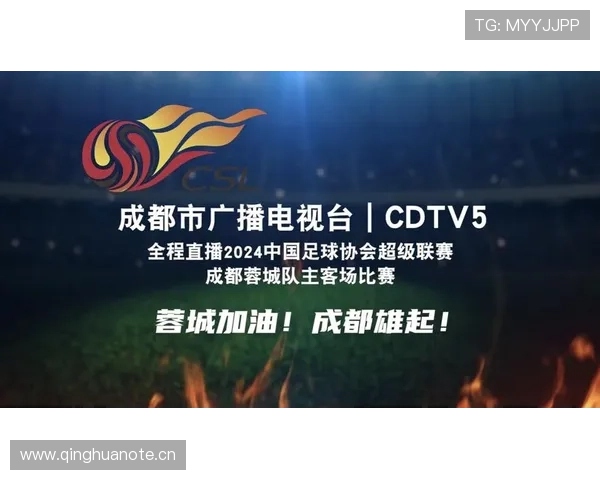 中超赛事直播全程跟踪 精彩比赛实时回放与分析 - 副本